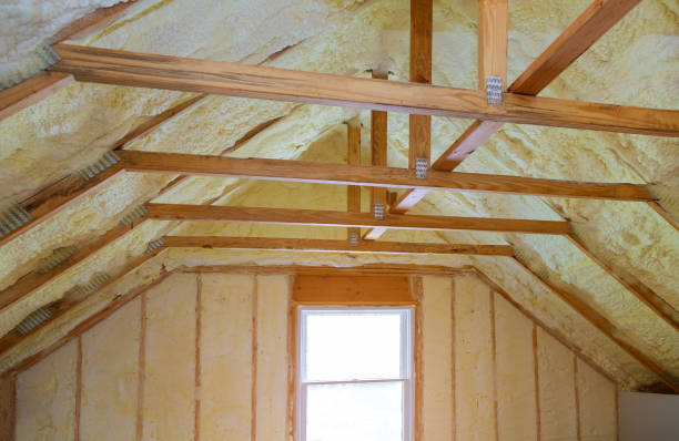 Best Types of Insulation in Schleswig, IA