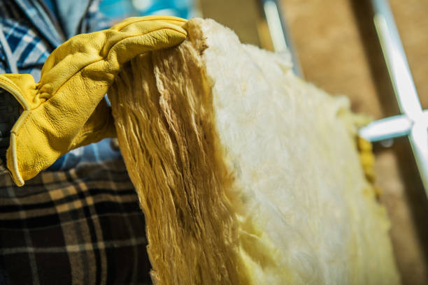 Best Insulation for Specific Applications in Schleswig, IA